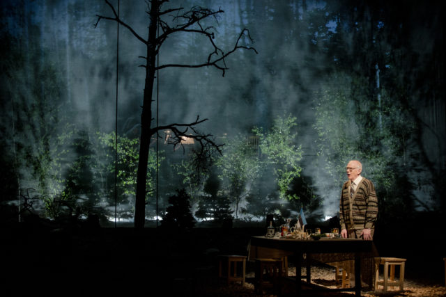 Hans Miilberg lavastuses "Metsa forte"