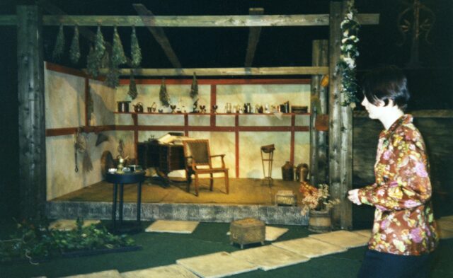 Eesti Draamateatri lavastus "Rohuvoodi".